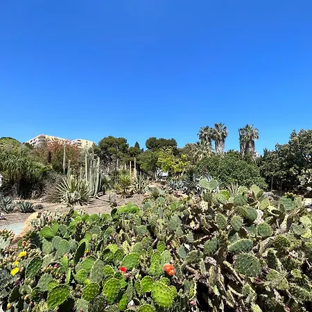 Acogedor En Vistas Apartamento Benalmádena